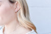 Silver Fish Hook Earrings